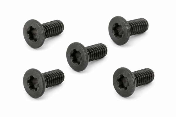 Spuhr M4x10 Tx20 Gen1 Haubenschrauben - 5 Stück