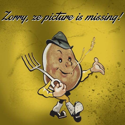 Heckler & Koch HK416 / MR223 Spannhebel für Durchladehebel links