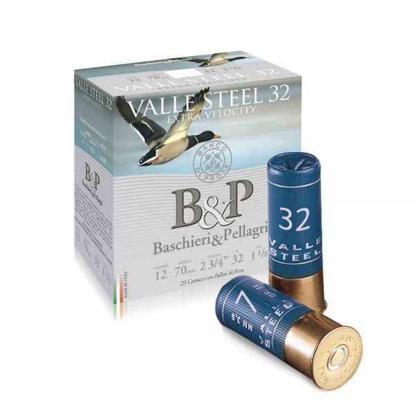 Baschieri & Pellagri 12/70 Valle Steel