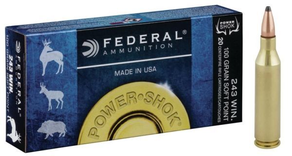 Federal .243 Win 100 gr Power Shok SP, 20 Schuss