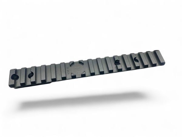 Bergara B14 SA Picatinny Schiene